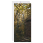 Old Crypt Autumn rack cards