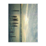 Old Dock Pilings postcards