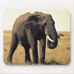 Old elephant mouse pad
