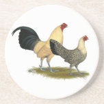 Old English Cream Buttercups Beverage Coaster