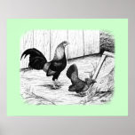 Old English Game Bantams:  Calendar Drawing posters