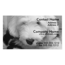 Old English Sheep Dog Business Card