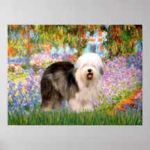 Old English Sheepdog 12 - Garden Poster
