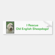 Old English Sheepdog Bumper Sticker