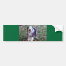 Old English Sheepdog Bumper Stickers