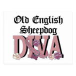 Old English Sheepdog DIVA Postcard