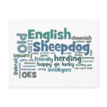 Old English Sheepdog