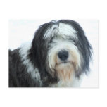 Old English Sheepdog postcards