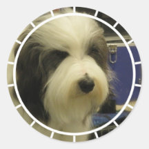 Old English Sheepdog Stickers