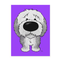 Old English Sheepdogs - Big Nose and Butt
