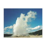 Old Faithful @ Yellowstone National Park Post Card