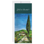 OLD FARM HOUSE IN CHIANT, blue green red white invitations