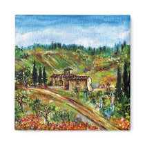 OLD FARMHOUSE IN CHIANTI -TUSCANY