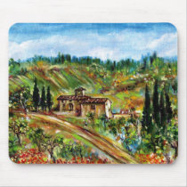 OLD FARMHOUSE IN CHIANTI -TUSCANY