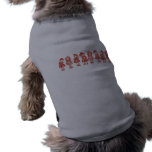 Old Fashioned Dolls pet clothing