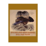 Old Fashioned Postcards