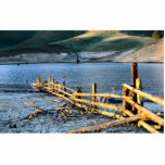 Old fence in Eidon Weir, Bonnie Doon, Victoria, Au photo sculptures