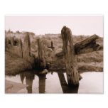Old Fences 8x10 Photo