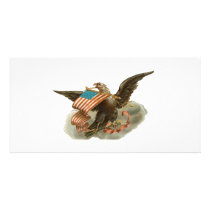 Old Glory's Eagle