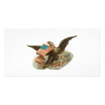 Old Glory's Eagle photo cards