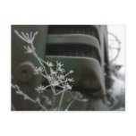 Old Green Tractor Grill with Frozen Flower postcards
