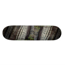 Old growth forest, British Columbia, Canada Photo Skate Deck