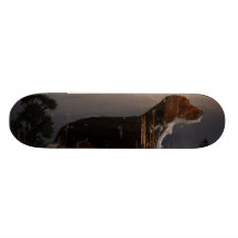 Old Hunting Dog Skate Board Deck