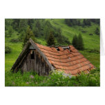 OLD HUT GREETING CARD