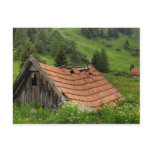 OLD HUT POST CARD
