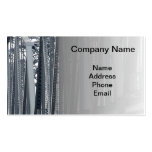 Old Iron Railway Bridge View Business Card