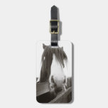 Old Look Horse Portrait Personalizable Luggage Tag
