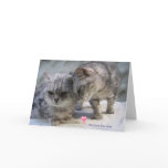 old love lies deep.....cat greeting card