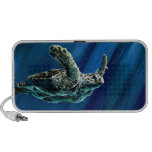 Old Man of the Sea Travel Speaker