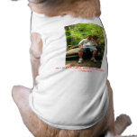 OLD MAN'S CAVE, HOCKING HILLS, OHIO. ... pet clothing