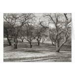 Old Orchard, Apples cards