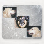Old Pals mousepads