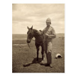 Old Photo of a British Soldier - Boer War Post Cards