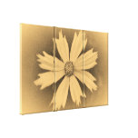 Old photo Yellow Cosmos Flower Close-up 3 Gallery Wrap Canvas