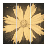 Old photo Yellow Cosmos Flower Close-up 4 Stretched Canvas Prints