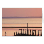 Old Pier cards