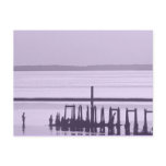 Old Pier postcards