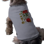 Old Pomegranate Illustration pet clothing