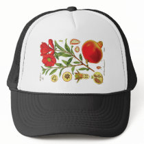 Old Pomegranate Illustration Mesh Hats