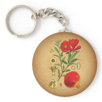Old Pomegranate Illustration Keychains