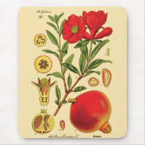 Old Pomegranate Illustration Mouse Pad