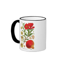 Old Pomegranate Illustration Mug