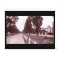 Old Postcard, London, Ealing Common