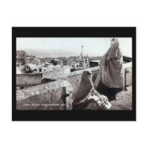 Old Postcard - Rooftops of Algiers