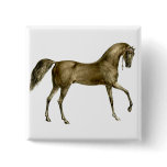 Old Print Horse Image Pins