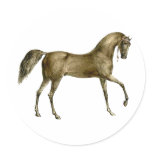 Old Print Horse Image Round Sticker